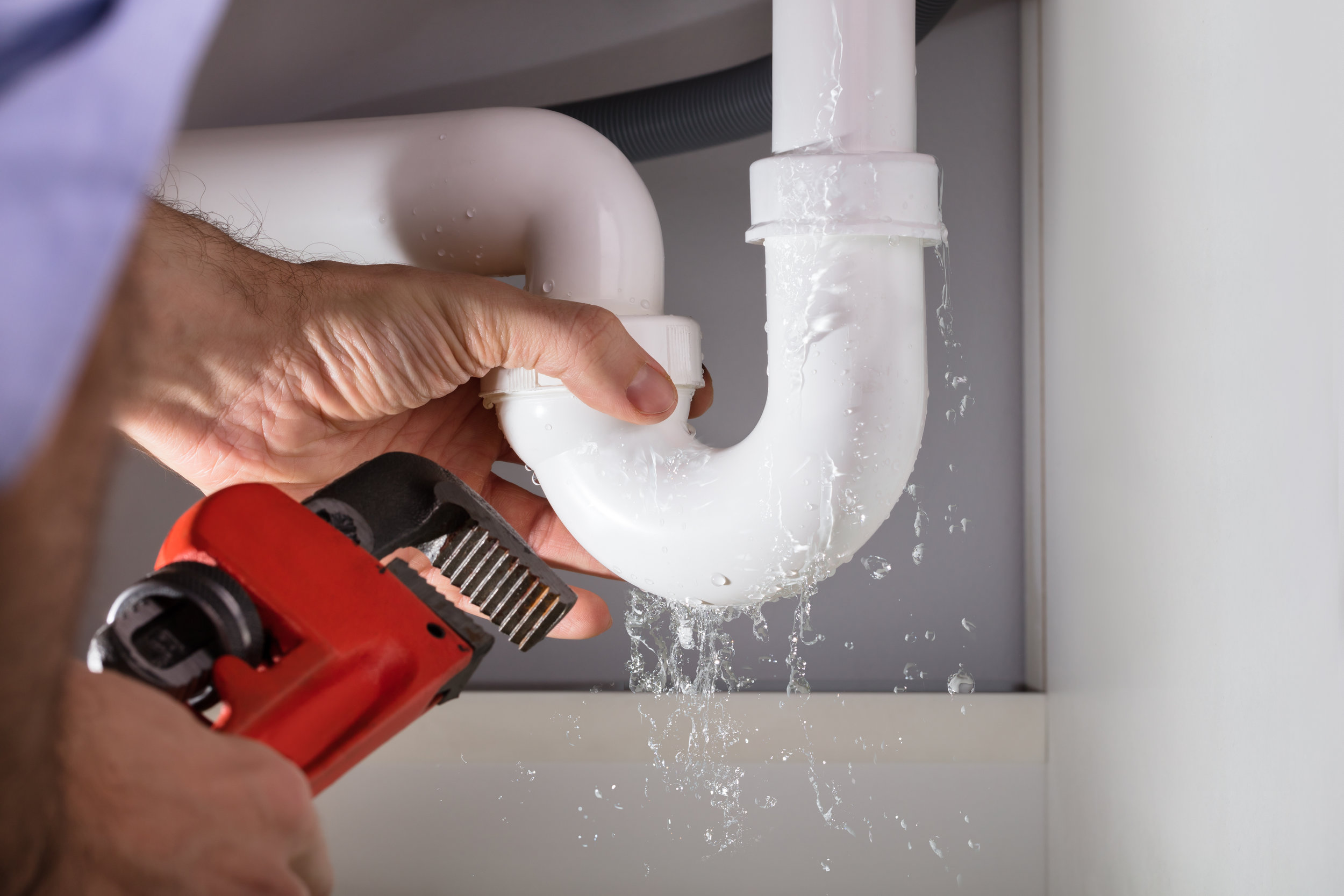 The Ultimate Student Housing Maintenance Guide