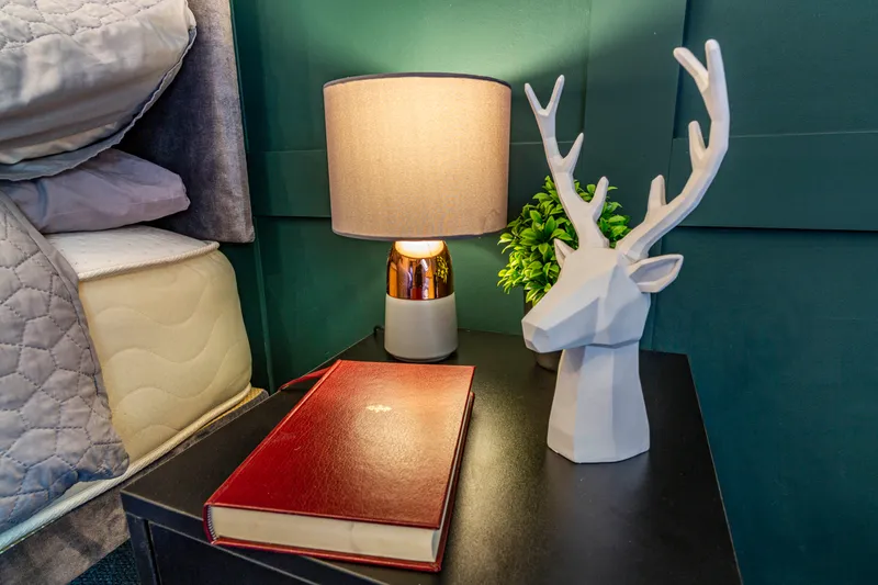 Luxury 5 Bedroom House //  2026/7 - Image 15