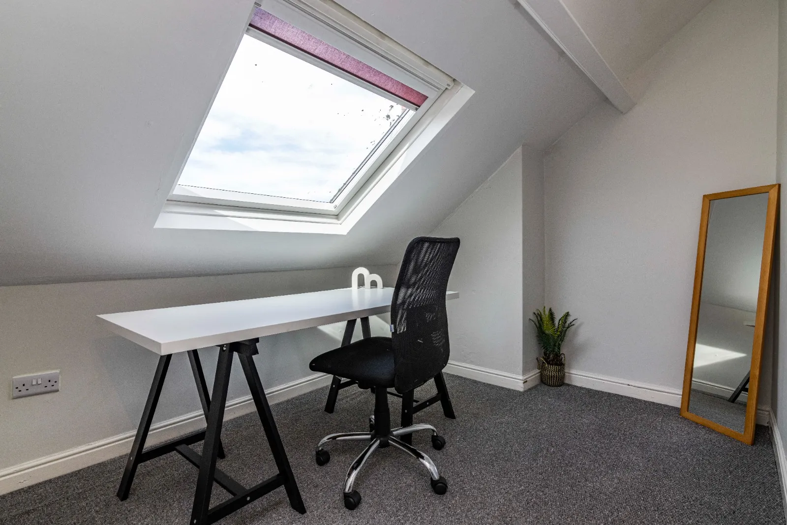 4 Bed Student House // Sep 2026 - Image 7