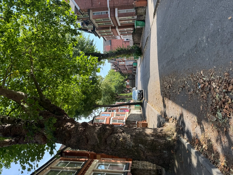 2 rooms left: Albert Grove student house share NG7 1PA - Thumbnail 23